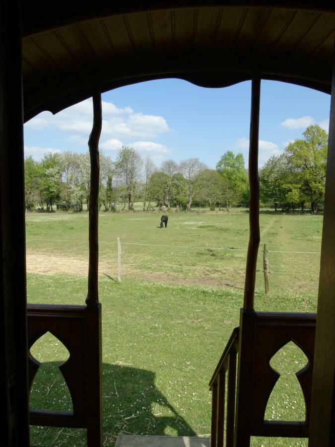 Une Roulotte Et Des Chevaux Treffléan Exterior foto